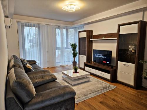 布加勒斯特Luxury Apartment的客厅配有真皮沙发和电视