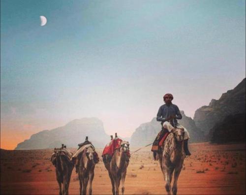 瓦迪拉姆Wadi rum camp的一群人在沙漠骑骆驼