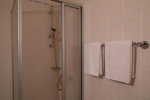 DolgesheimHotel Dolgesheim的带淋浴和白色毛巾的浴室