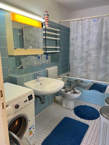 美因茨Apartment in Mainz-Lerchenberg的浴室配有盥洗池、卫生间和洗衣机。