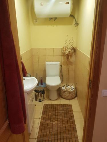 坎达瓦Čapuliši的一间带卫生间和水槽的小浴室
