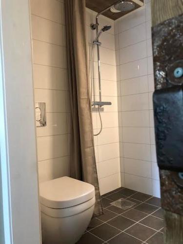 SmedjebackenSteel Hotel的一间带卫生间和淋浴的浴室
