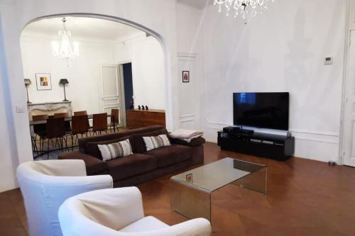 佩皮尼昂Appartement 120 m² Standing Hyper Centre Climatisé的带沙发和电视的客厅