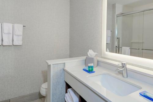 AldenHoliday Inn Express & Suites - King George - Dahlgren, an IHG Hotel的一间带水槽、镜子和卫生间的浴室