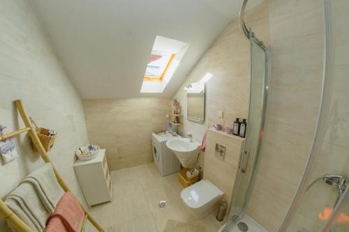松博尔Apartman Zamak Sombor的带淋浴、盥洗盆和卫生间的浴室