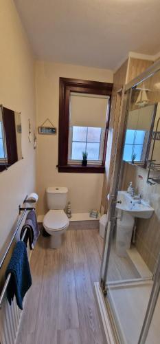 斯特灵Morris Terrace Apartment的浴室配有卫生间、盥洗盆和淋浴。