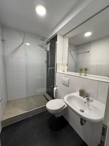 勒沃库森Pension Zwei A的浴室配有卫生间、盥洗盆和淋浴。
