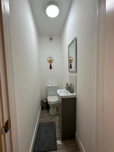 滨海绍森德Herbies Stay的一间带卫生间和水槽的小浴室