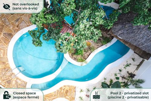 江比阿TASNEEM Aparthotel的植物 ⁇ 染游泳池