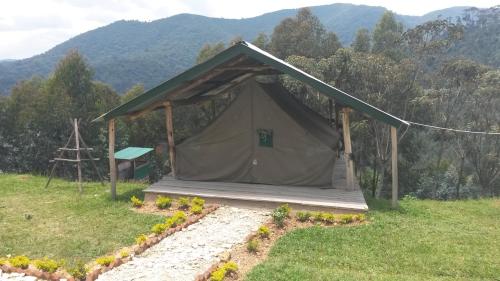 山林小屋所在大楼