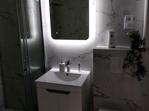 布戈伊诺Apartman-Stan的白色的浴室设有水槽和镜子