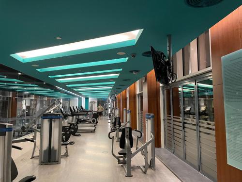 伊斯坦布尔studio unit whit pool and gym的健身房,配有一排跑步机和机器