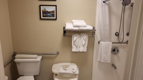 穆雷Comfort Inn Murray – Salt Lake City South的浴室设有卫生间和带毛巾的淋浴。
