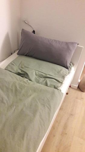 汉诺威Familie Vietzke的一张带绿床单和枕头的床