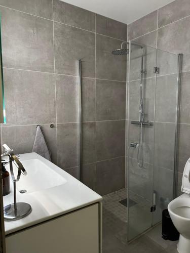 奥斯陆sjarmerende leilighet i hjertet av Oslo的带淋浴、盥洗盆和卫生间的浴室