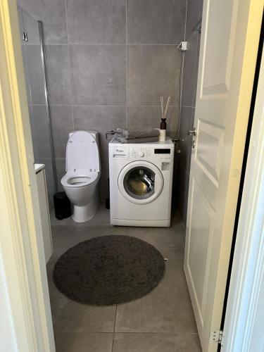 奥斯陆sjarmerende leilighet i hjertet av Oslo的一间带洗衣机和卫生间的小浴室