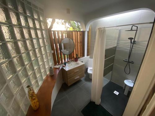 圣若瑟Ti Kaz Lo Ker chambre d'hôte chez l'habitant的带淋浴、盥洗盆和镜子的浴室