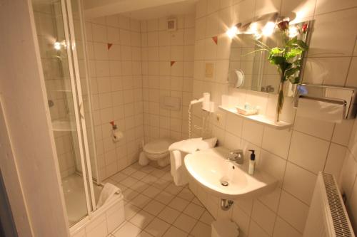 帕德博恩阿尔特恩基恩格尔穆勒酒店的一间带水槽、淋浴和卫生间的浴室