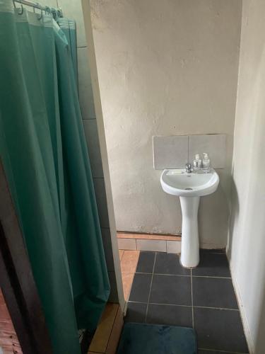 德班Phola at my place的浴室设有水槽和绿色的淋浴帘