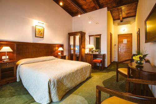 Pianu de Jos高尔夫派努酒店的配有一张床和一张书桌的酒店客房