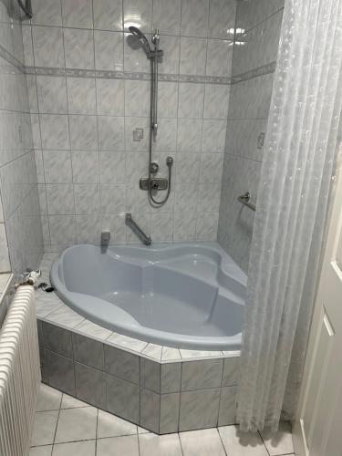 阿特斯特坦Urlaub in Schlossnähe的带浴缸的浴室