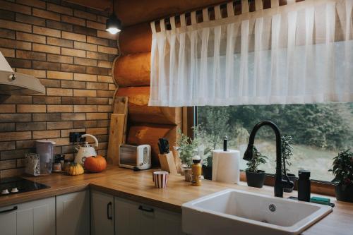 ZachełmieChata pod Olbrzymami的带水槽的厨房台面和窗户