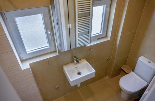 沃洛斯Nest Port View Apartment的一间带水槽、卫生间和镜子的浴室