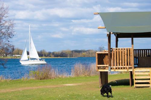 AppelternRecreatiepark Riverside的一条在帆船旁的草地上行走的狗