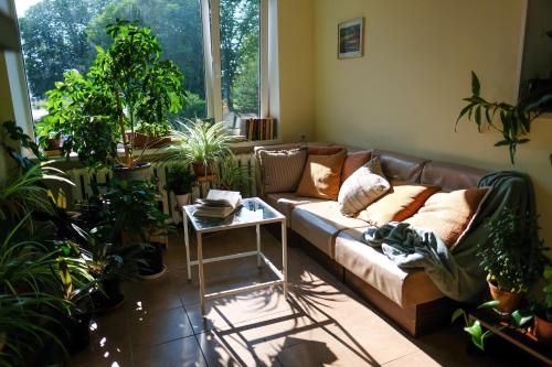 约赫维Hostel Nele的客厅配有沙发和许多植物
