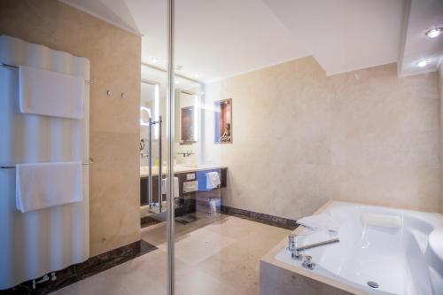 蒙德塞Iris Porsche Hotel & Restaurant的一间带水槽和淋浴的浴室
