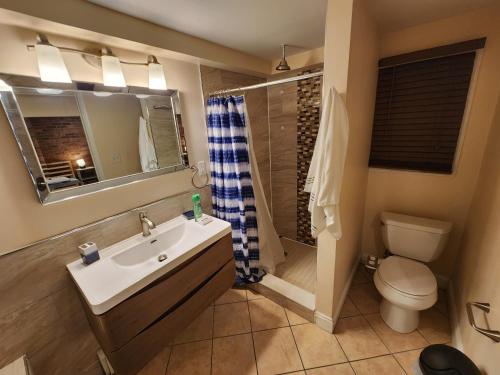 泽西市Stylish 3 bed, minutes to NYC!的一间带水槽、卫生间和淋浴的浴室