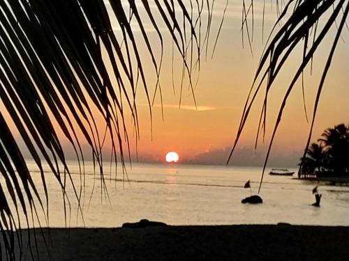Playón ChicoSplendid San Blas - All Inclusive的棕榈树海滩上的日落