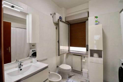 罗马Casa Stazione Magliana的一间带水槽、卫生间和镜子的浴室