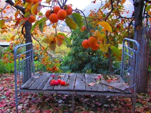 MeghriHOUSE ON THE ROCK的树下木桌,上面有水果