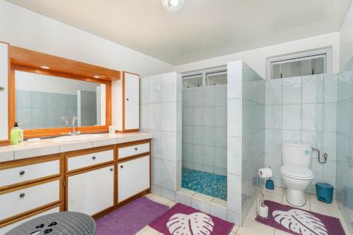 帕皮提Nunaatini Lodge的带淋浴、卫生间和盥洗盆的浴室