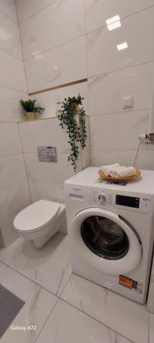 卢布林Apartament Cyrkoniowa的一间带洗衣机和卫生间的浴室