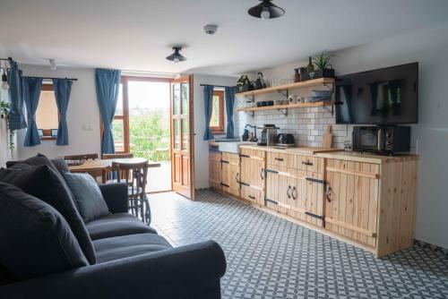 埃格尔EgerCottages - Bikavér Cottage的带沙发的客厅和厨房