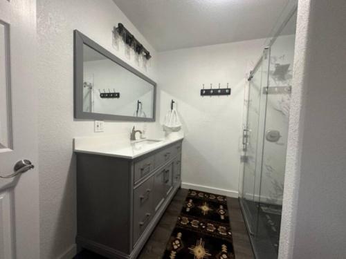 River View Ranch的一间带水槽、镜子和淋浴的浴室