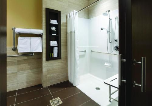 苏福尔斯艾洛斯泰酒店的带淋浴、盥洗盆和卫生间的浴室