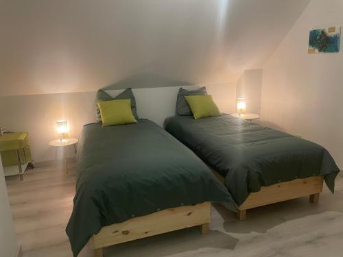 奥斯特瓦尔德Le gîte de l ill proche Strasbourg的一间卧室配有两张带绿棉被和灯具的床。