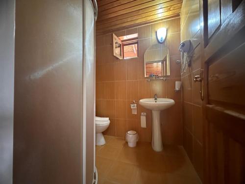 凯麦尔Likya Yanartaş Bungalow的一间带卫生间和水槽的小浴室