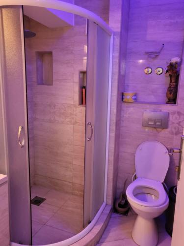 里巴斯卡班亚Vila Marija的浴室配有淋浴和卫生间。