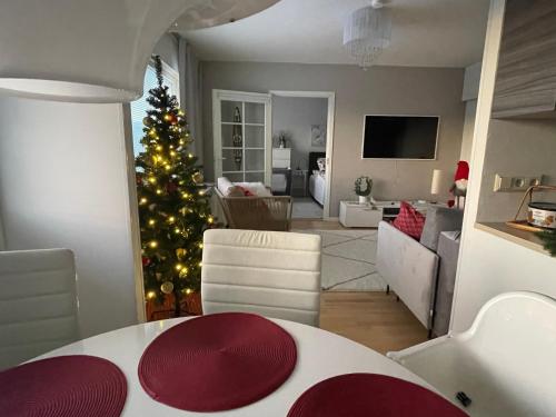 罗瓦涅米Peaceful City Centre Apartment (2 Bdr)的客厅(带圣诞树)和客厅