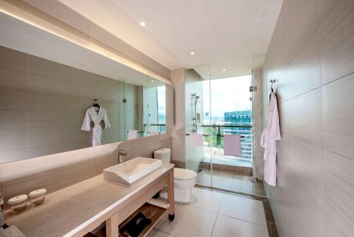 三亚三亚中心凯悦嘉轩酒店（网红空中泳池打卡）的一间带水槽、卫生间和镜子的浴室