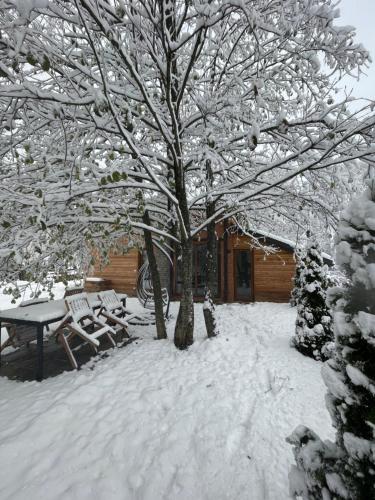 布雷佐维察Villa Alpina Brezovice的雪覆盖的院子,有树和长凳