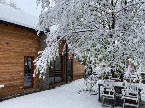 布雷佐维察Villa Alpina Brezovice的一座建筑物旁的雪覆盖着的树