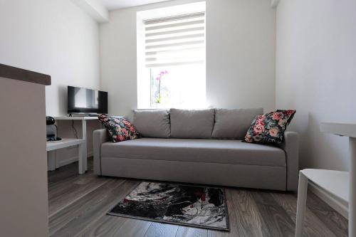里加Mini dzīvoklis-atbilstoša cena的带沙发和窗户的客厅