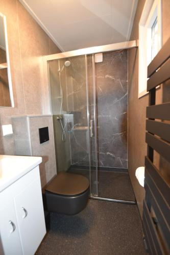 比伦Chalet Helmgras J4的一间带卫生间和玻璃淋浴间的浴室