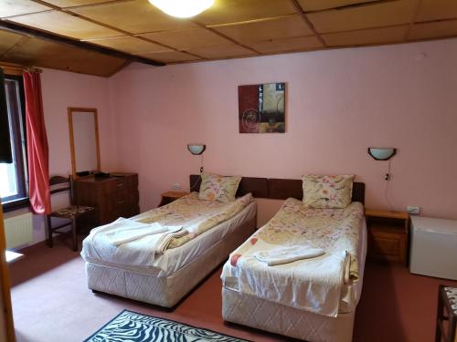 班斯科桑托班斯克家庭酒店的配有粉红色墙壁的客房内的两张床