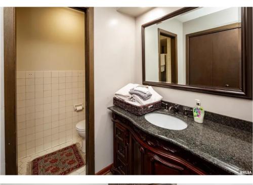 莫林Luxurious condo Moline Quad Cities 4bedrooms 2 bath的一间带水槽、镜子和卫生间的浴室